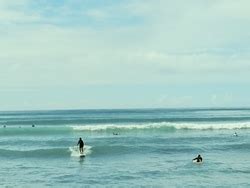 white plains surf report